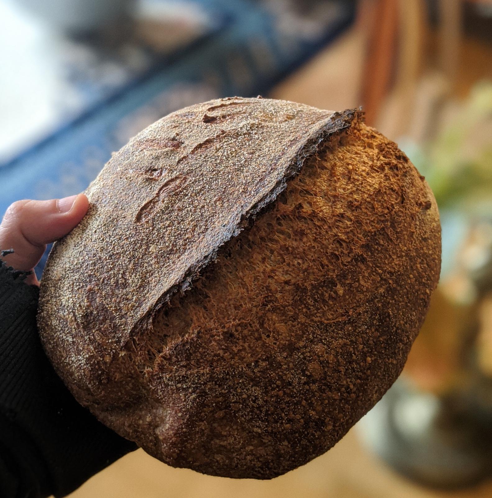 100-home-milled-whole-grain-sourdough-first-attempt-the-fresh-loaf