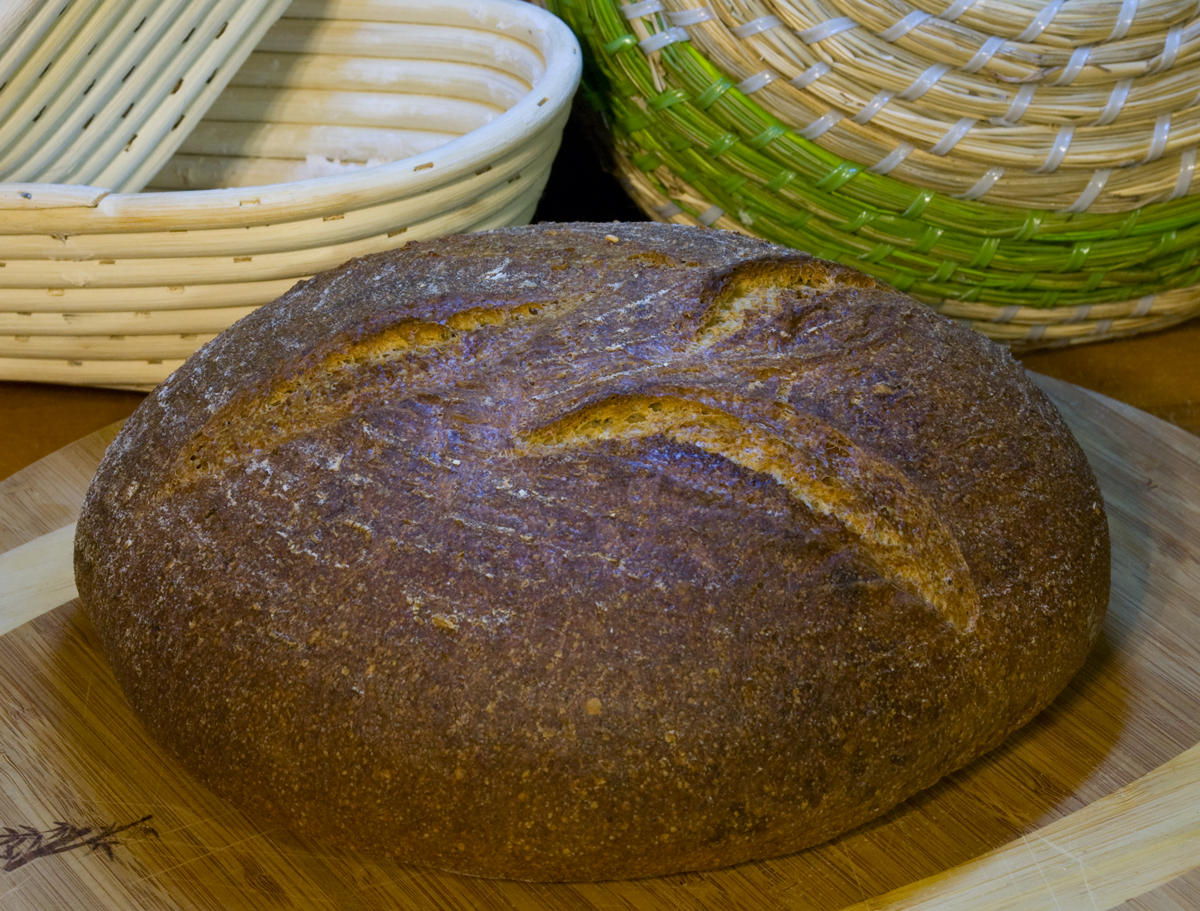 sprouted-durum-whole-wheat-sourdough-the-fresh-loaf