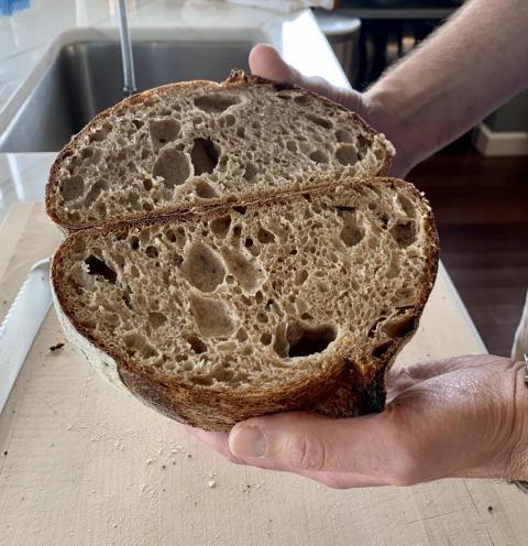 Fifty-Fifty Whole Wheat Sourdough Bread