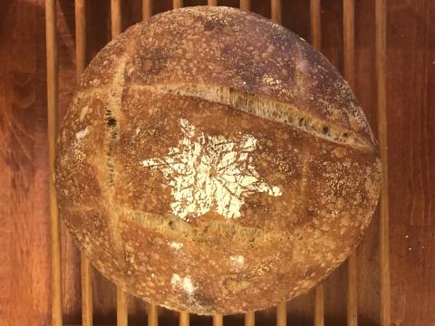 Fifty-Fifty Whole Wheat Sourdough Bread