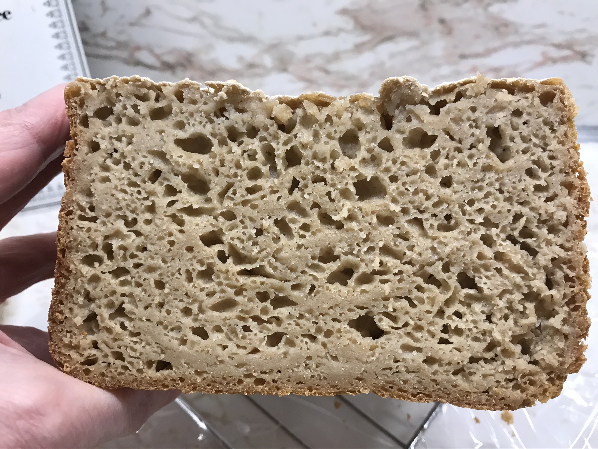 bread dispersio