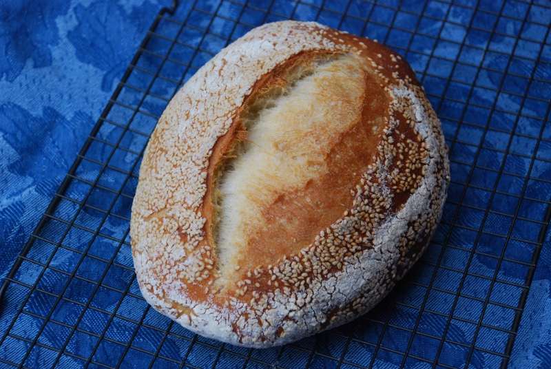 Baguettes, Sesame Semolina, and Tasting | The Fresh Loaf