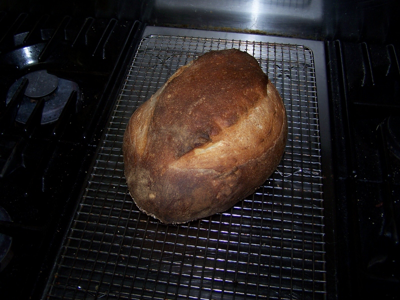 First Rustic Loaf