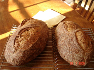 sourdough wheat bread