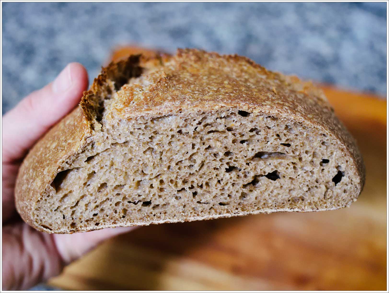 an-experiment-in-100-whole-wheat-sourdough-bread-the-fresh-loaf