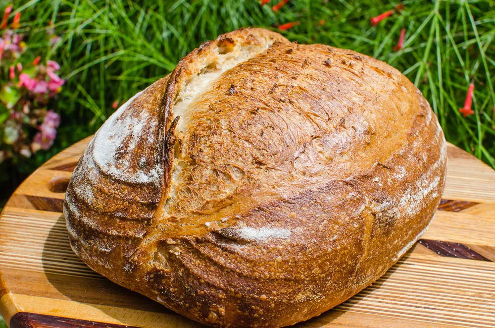 D72_2449.JPG D72_2449.JPG