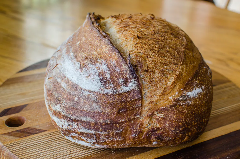 D72_2452.JPG D72_2452.JPG