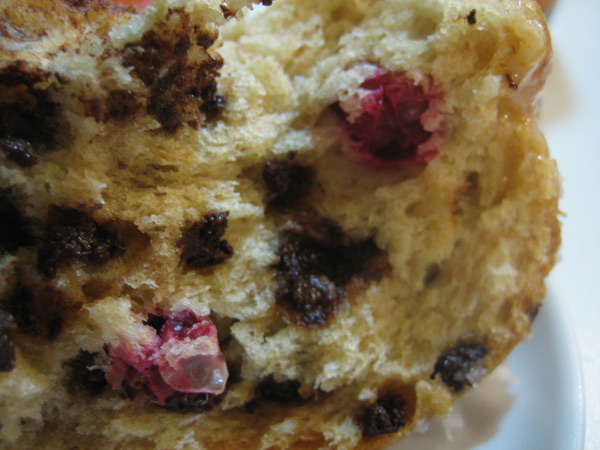 Cranberry-Chocolate Sweet Buns