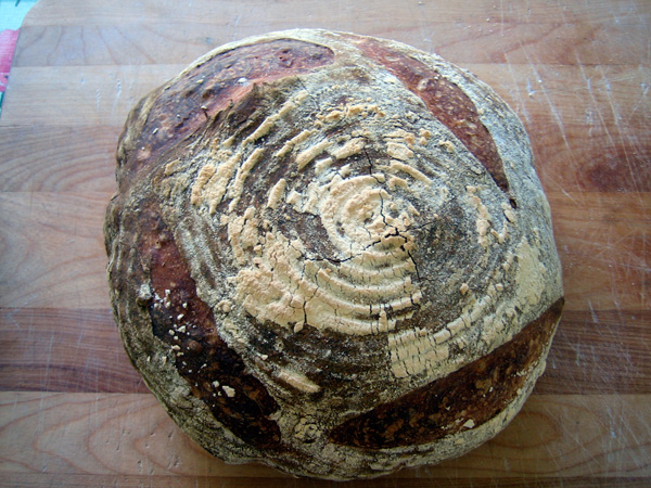 a sourdough miche