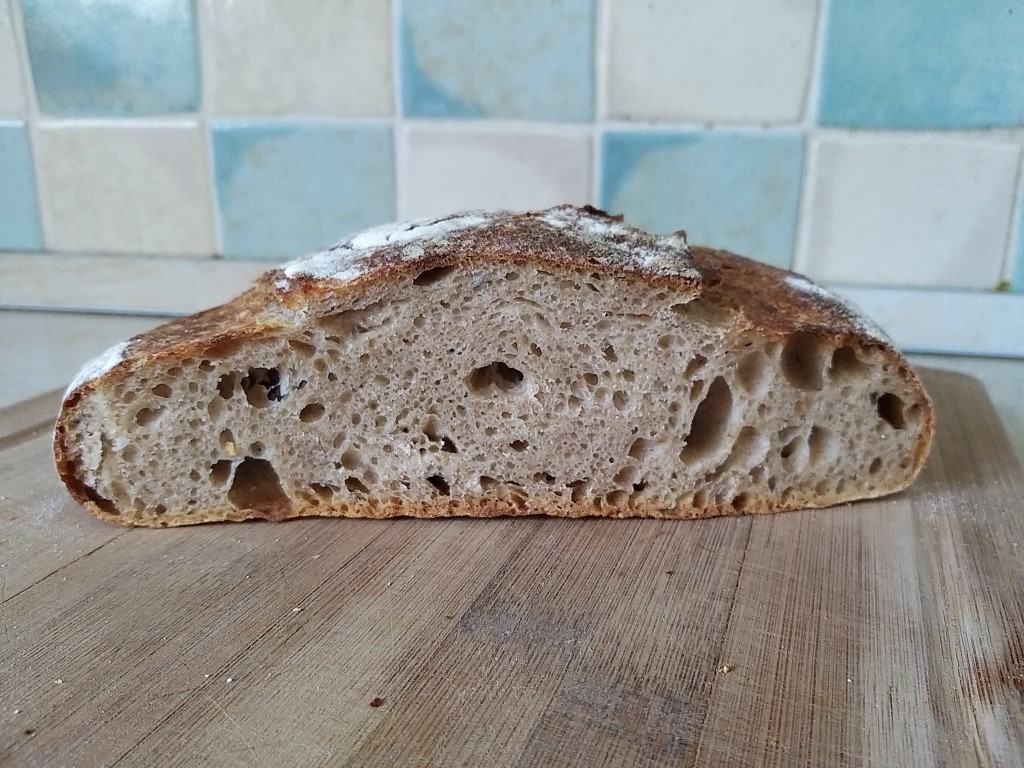 Sourdough spelt store starter