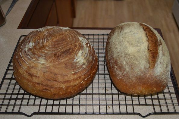 stone ground flour sourdough