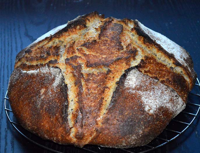 40% whole gran boule with toadies . . . | The Fresh Loaf