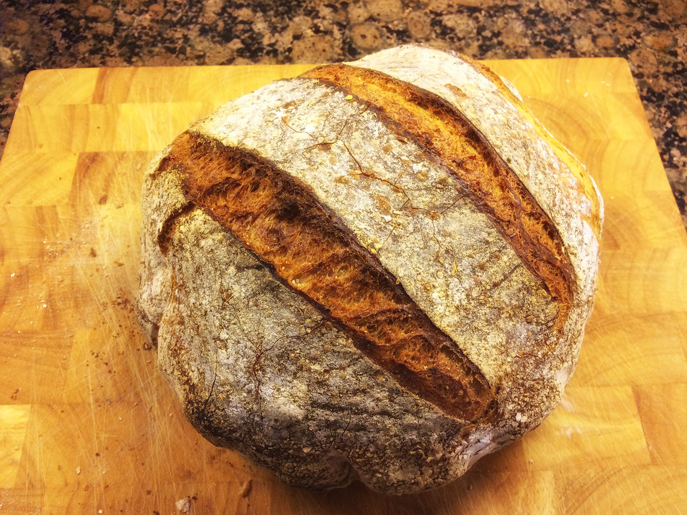 rye-starter-bread-the-fresh-loaf