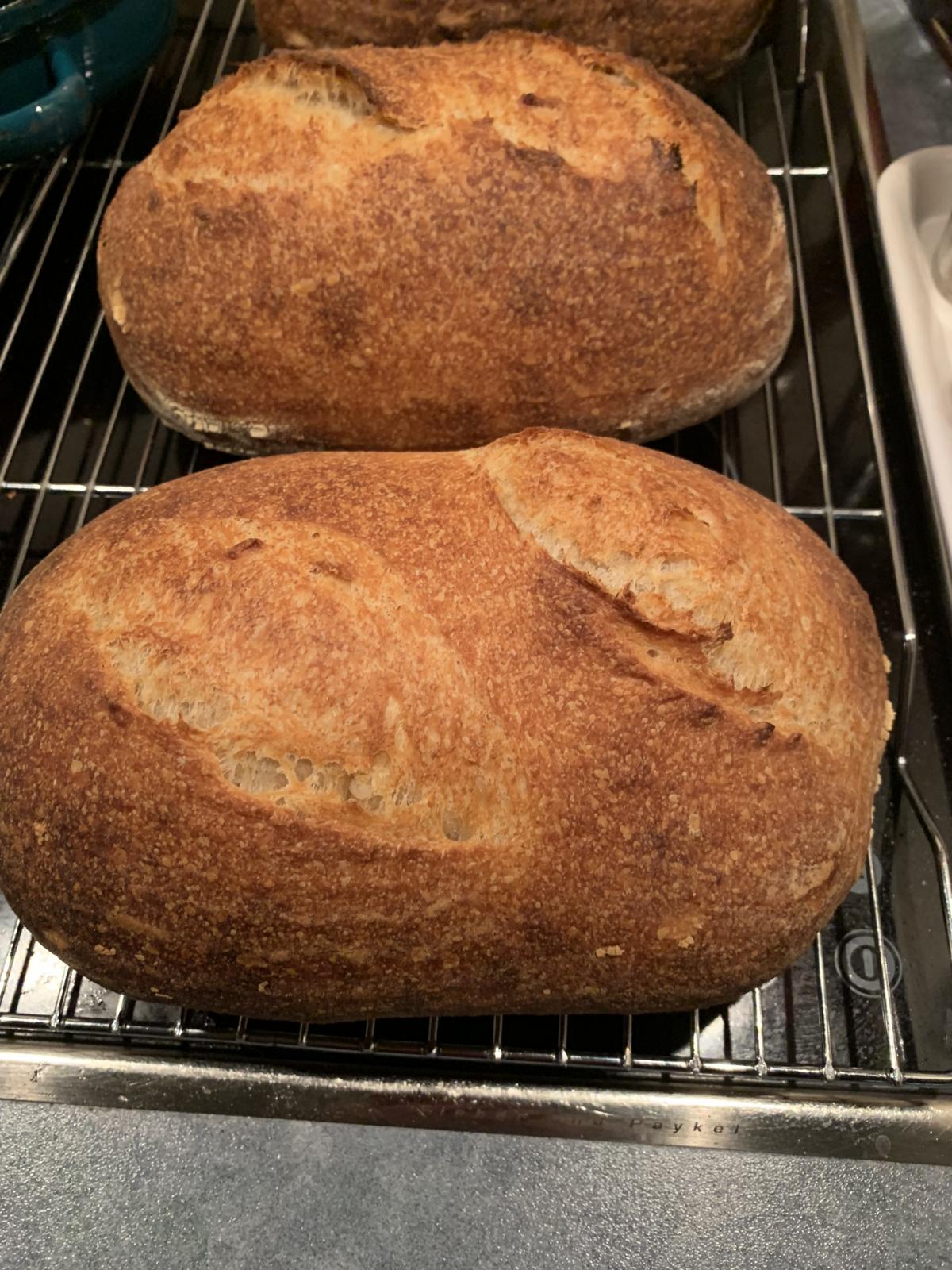 getting-back-to-baking-a-simple-mixed-flour-bake-the-fresh-loaf