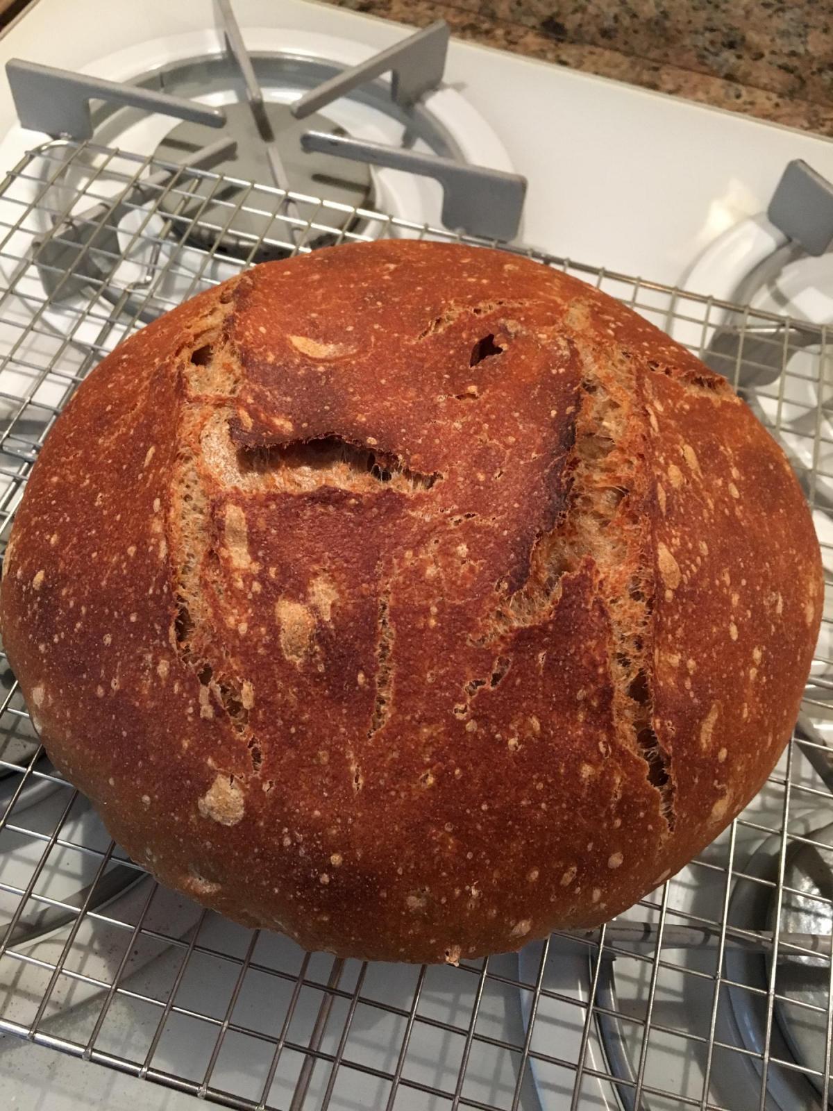 1st sourdough -- exterior