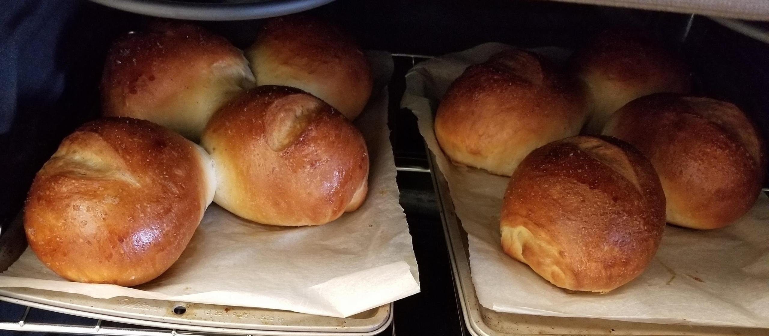 Sourdough Buns