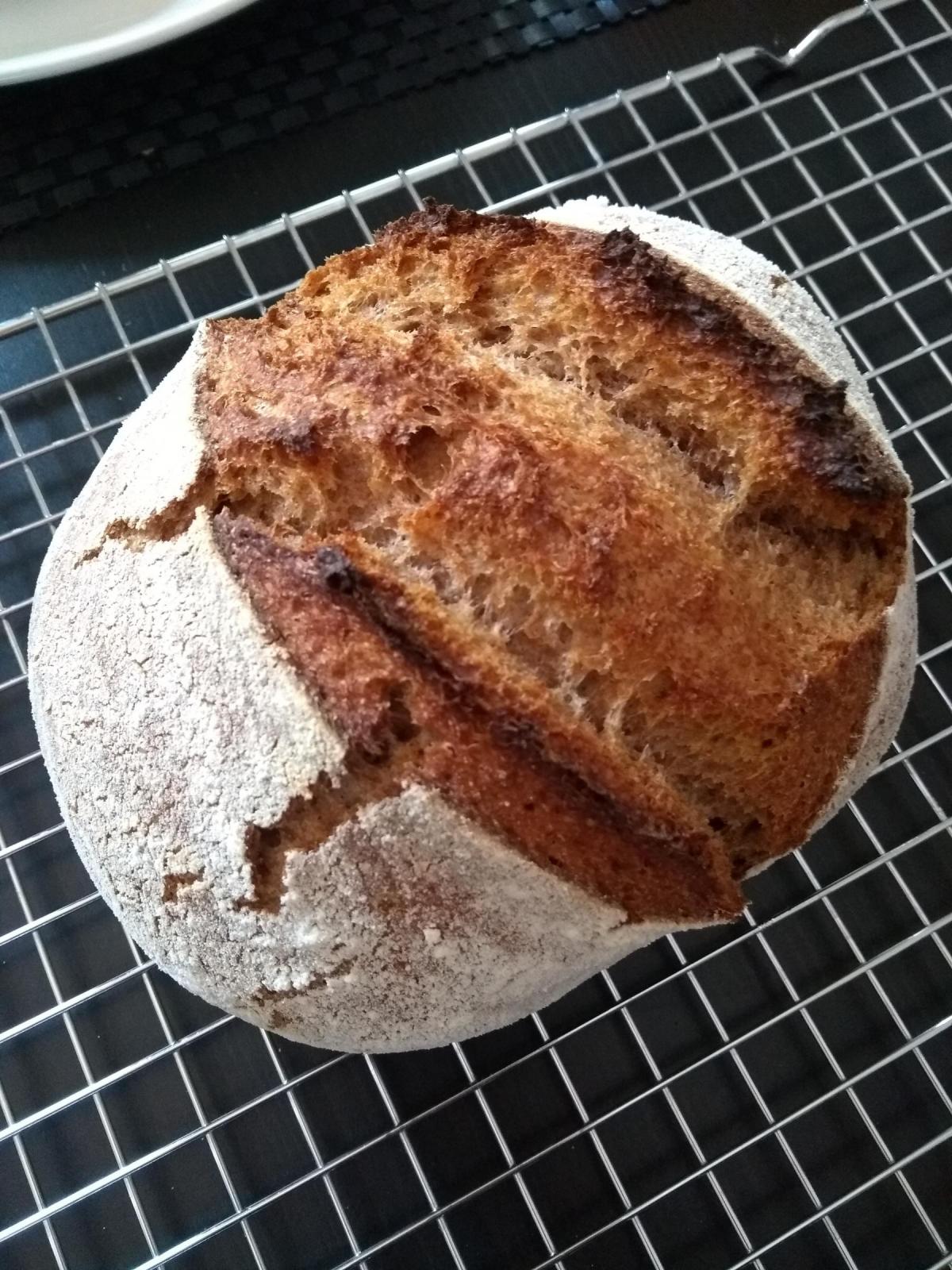 Whole Wheat 01