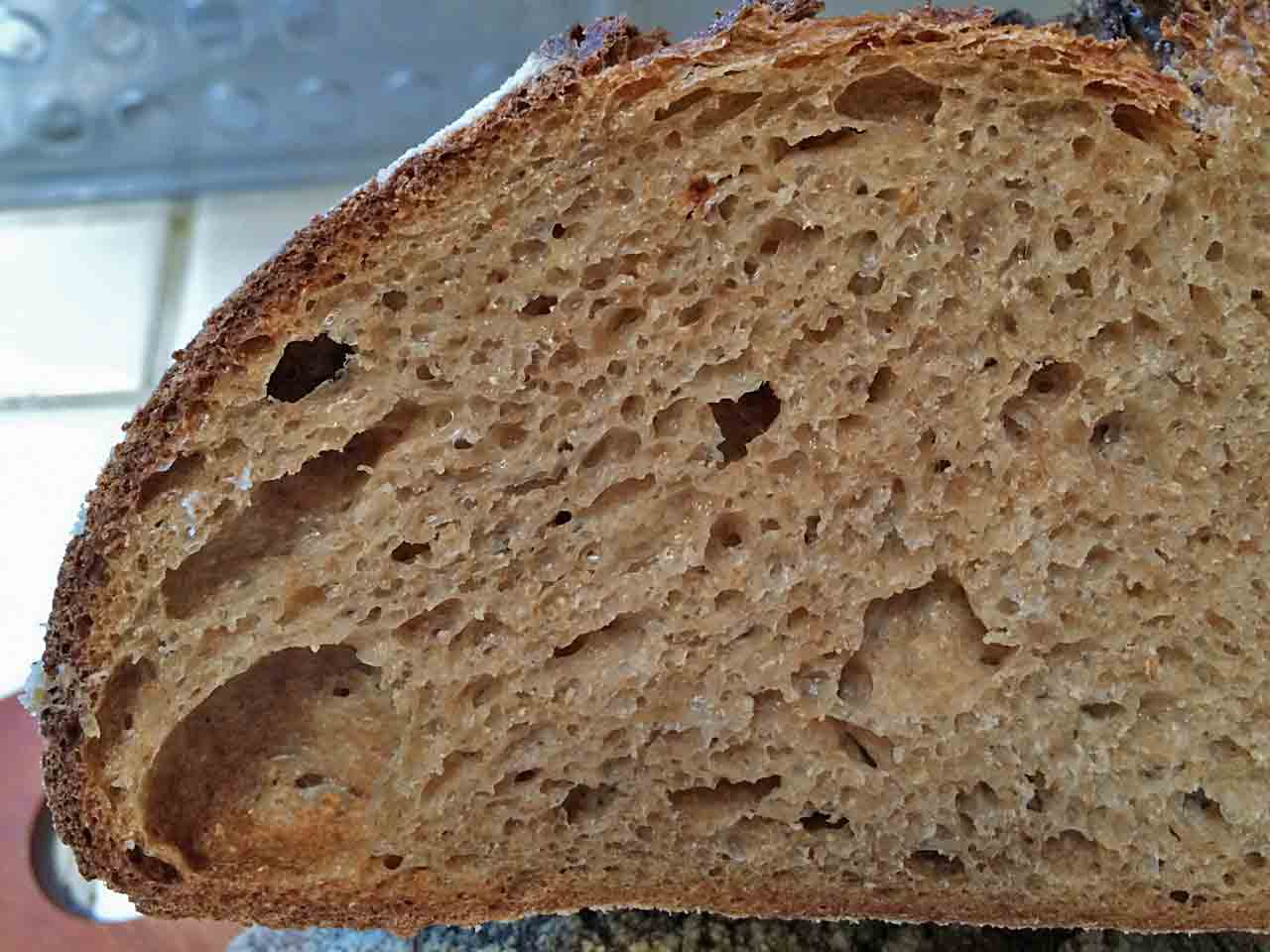 Whole Wheat Sourdough Bread With Home-milled Flour 