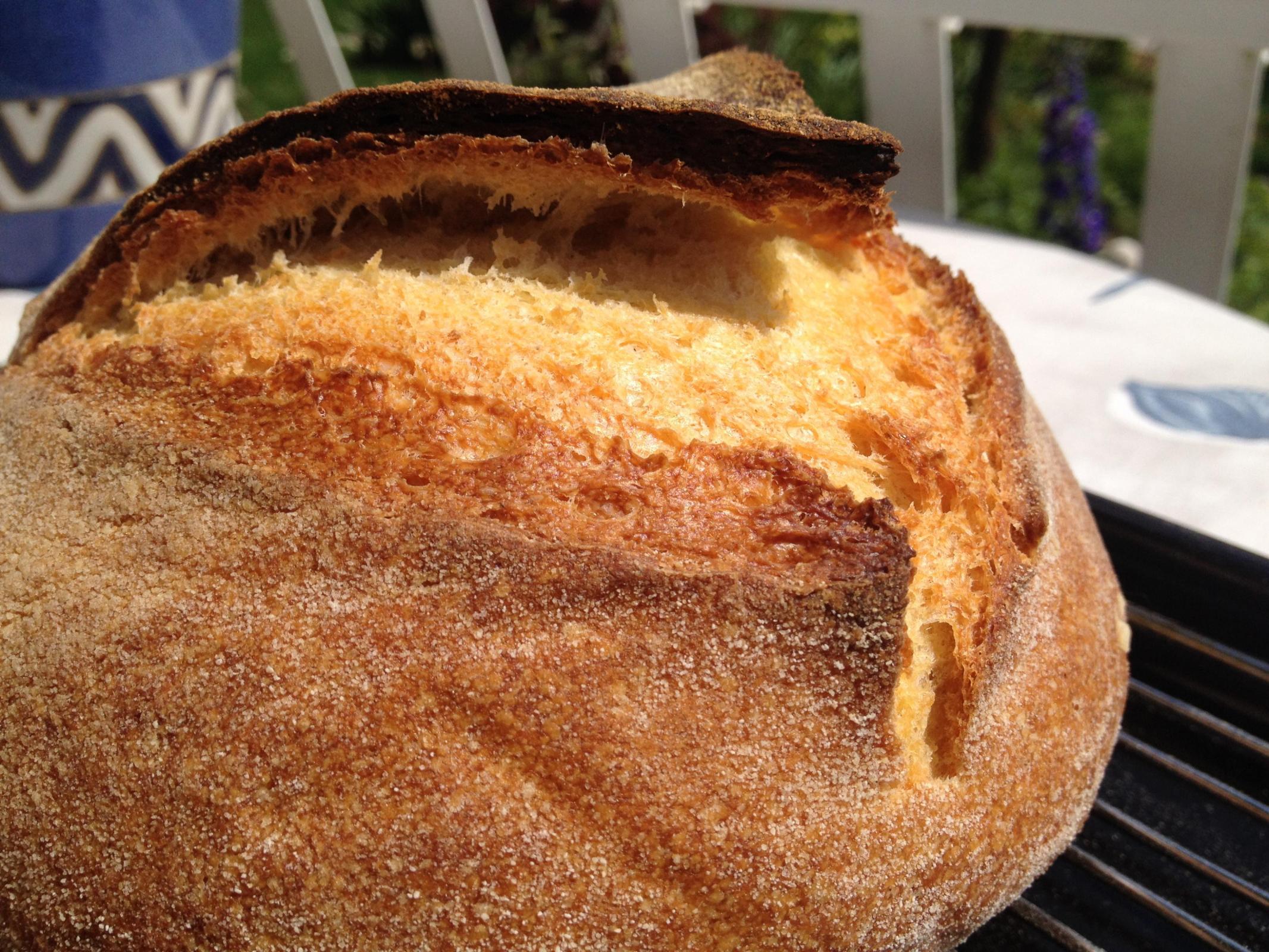 Loaf @63% hydration baked in wood fired oven