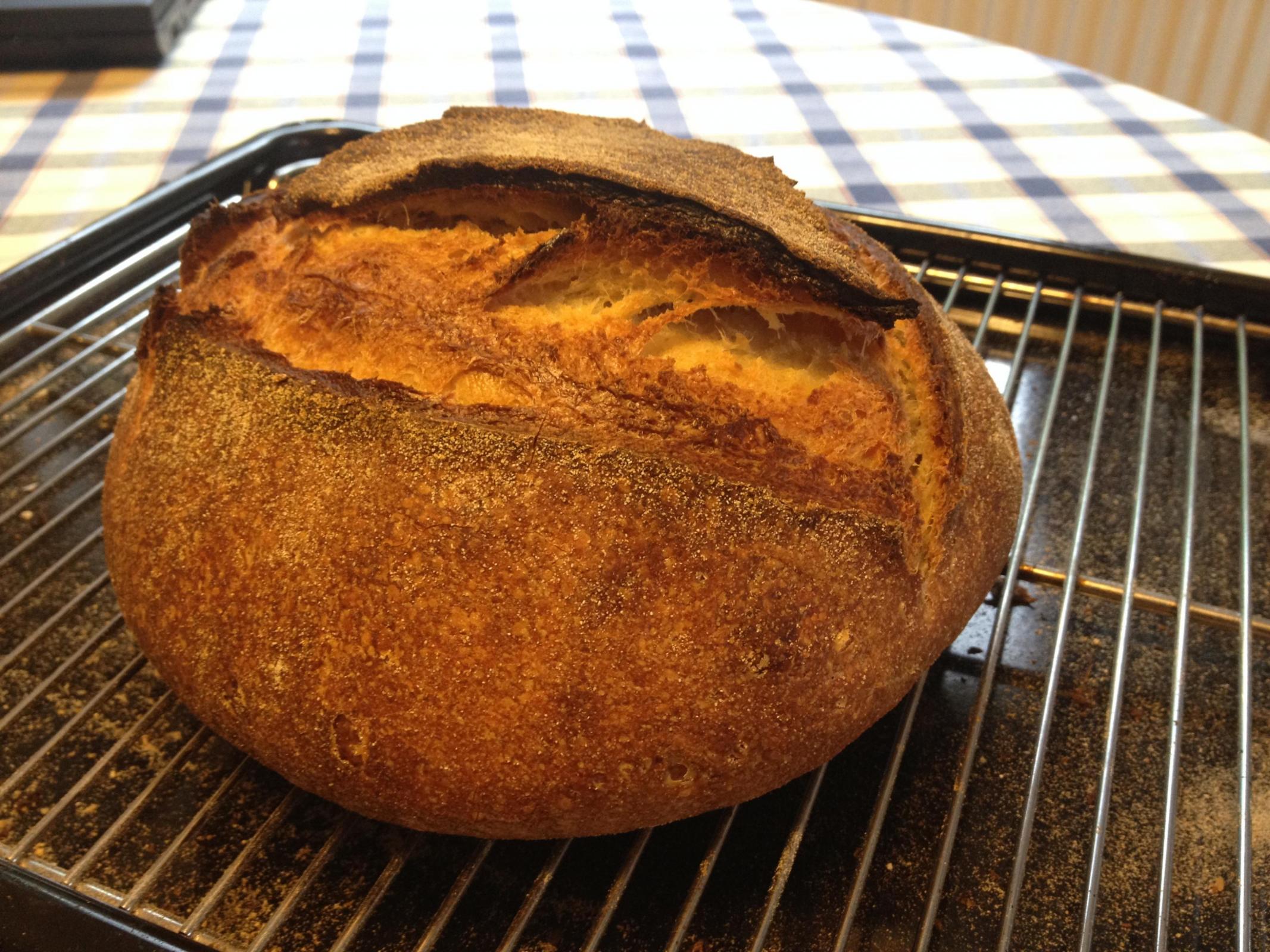 Loaf @70% hydration baked in wood fired oven