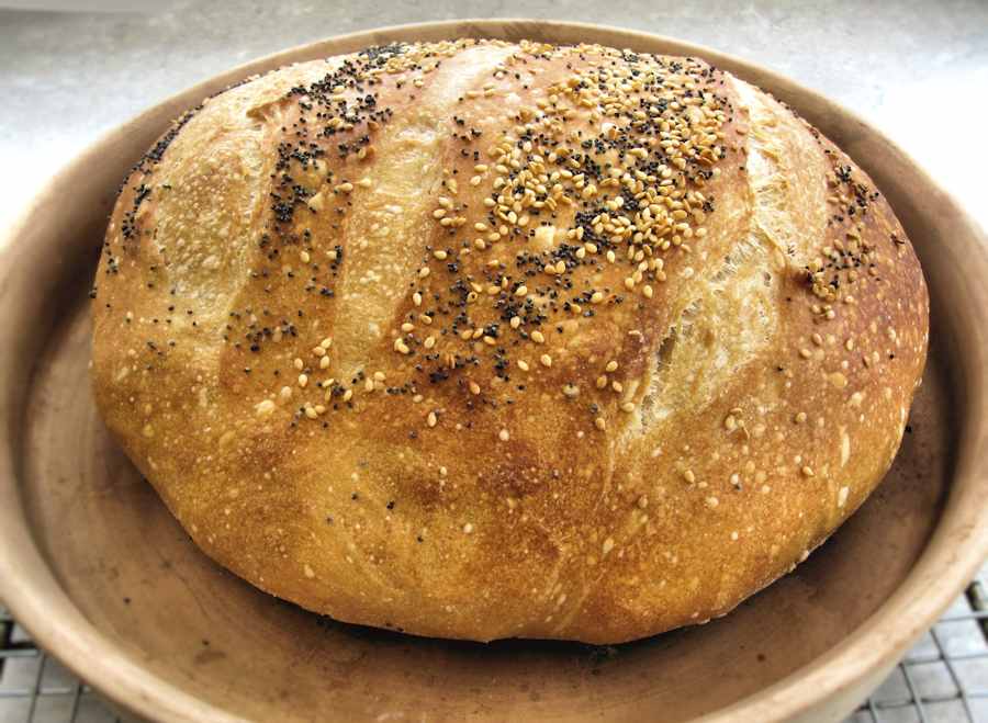 Sourdough no knead