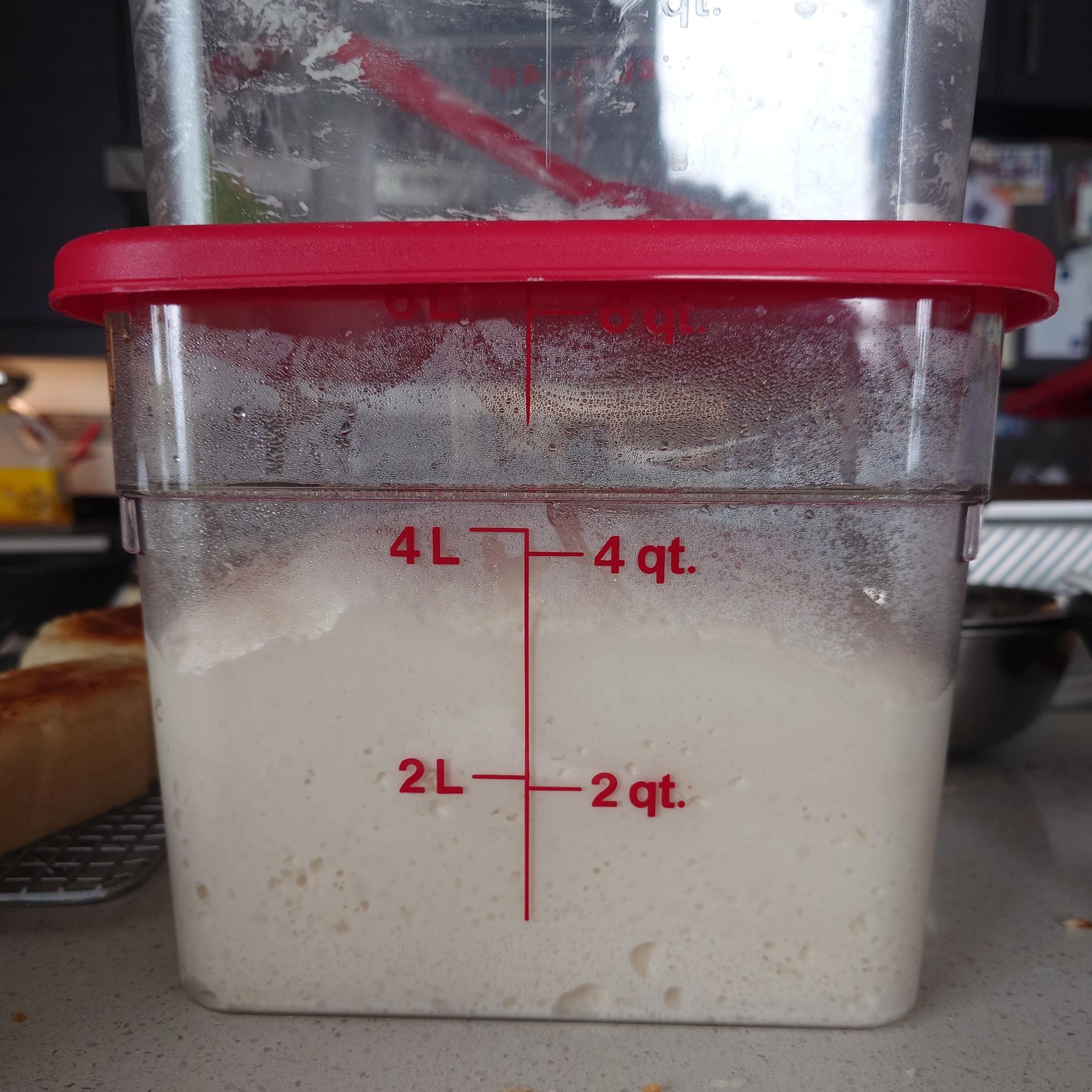 A transparent plastic square container with gradation markers filled with bread dough