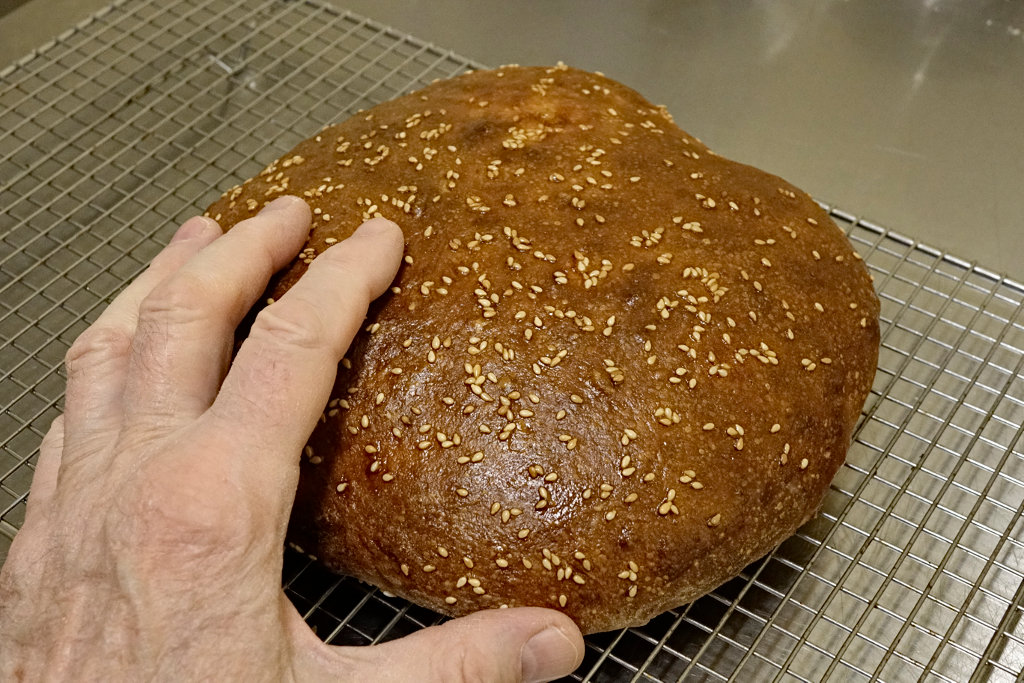 mufuletta loaf overview with hand