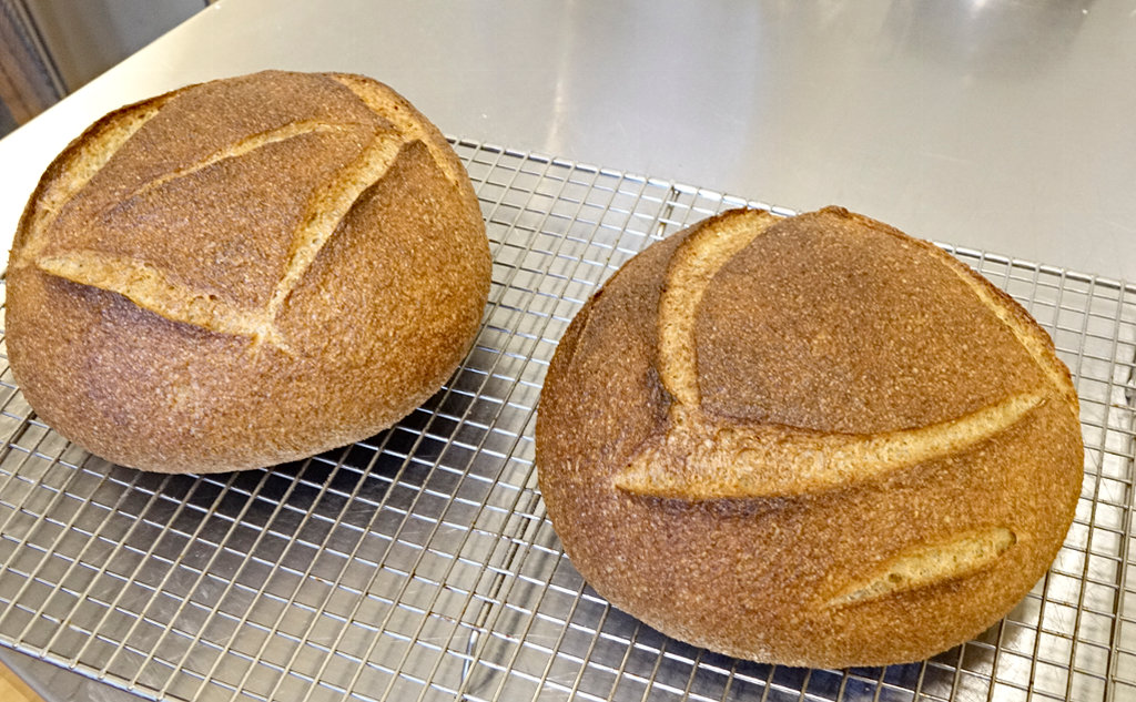 A pair of corn-rye boules