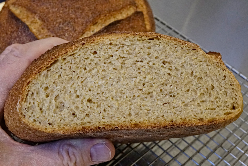 crumb shot