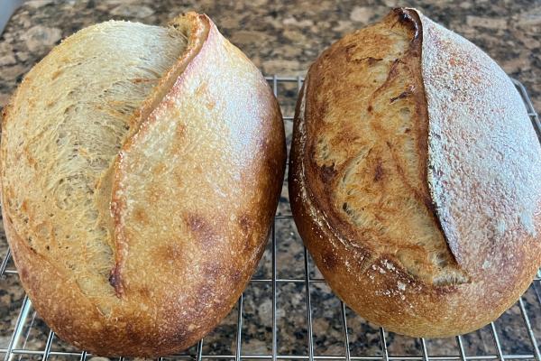 Sweet Potato Levain