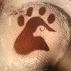 Profile picture for user Brown Dog Artisan Breads