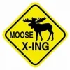 Profile picture for user Mooseheadlake