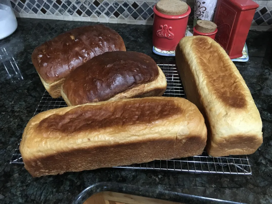 Finished loaves