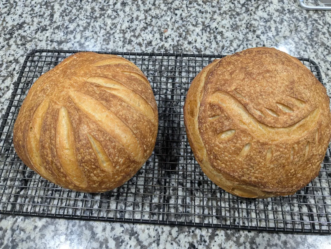 Sourdough boules