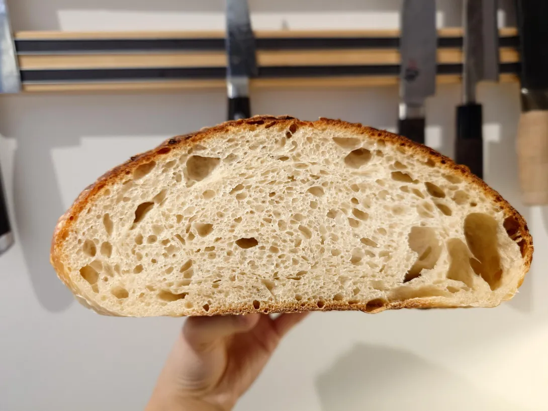 The interior of a crusty loaf of bread