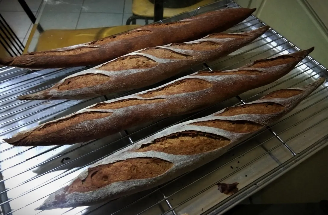 23% soybean baguettes