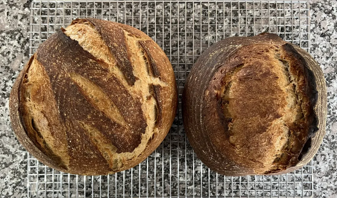 Two Loaves of 50% Einkorn Flour