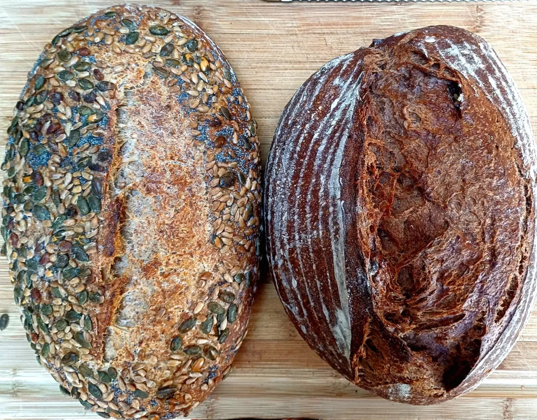 Two biga loaves, one with seeds and the other with walnuts