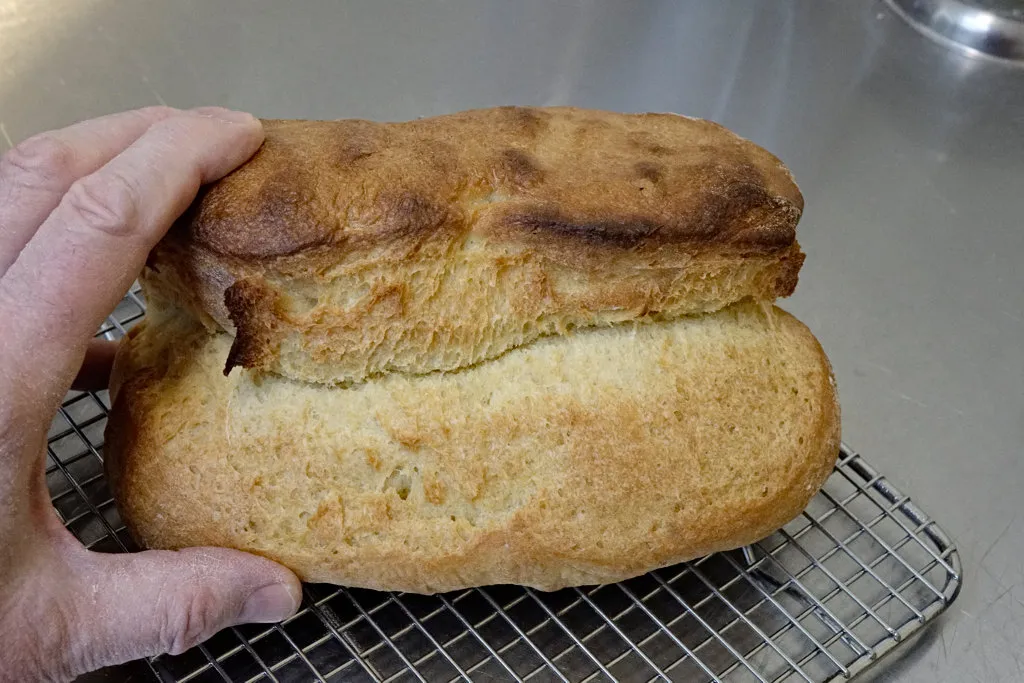 Altamura loaf side view