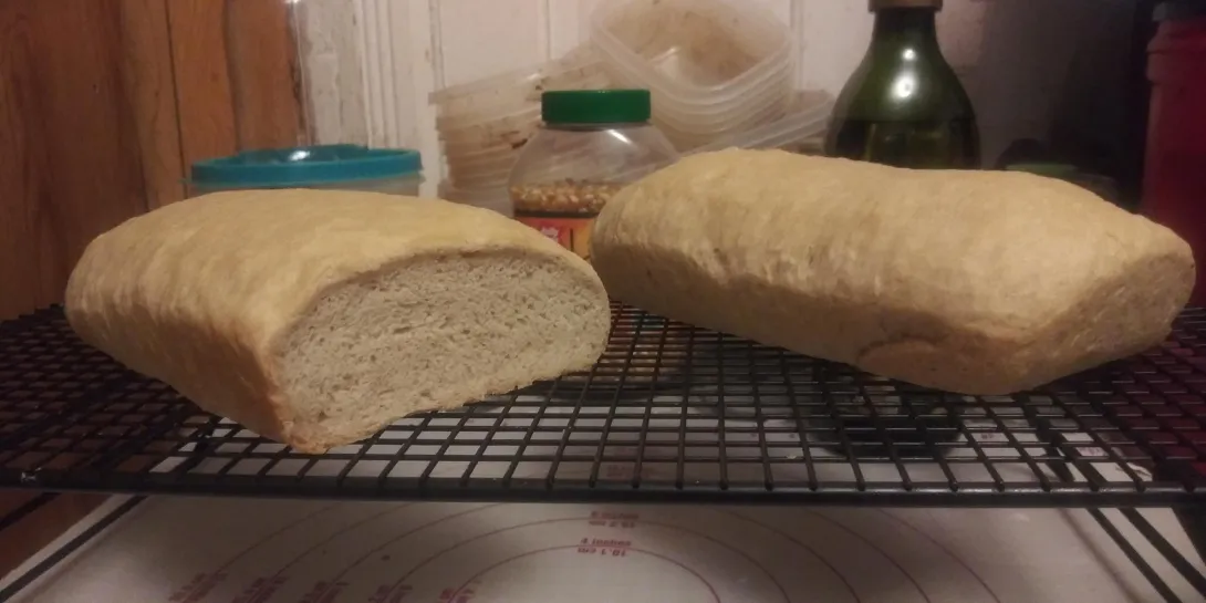 Sad, flat, dense loaf about half the size of a normal loaf of sandwich bread