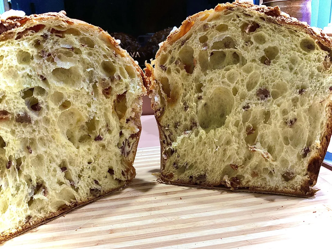 Pecan panettone