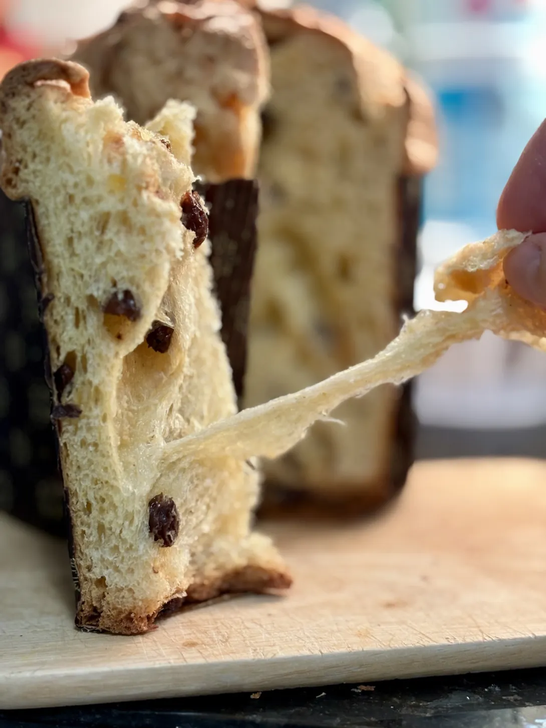 panettone crumb