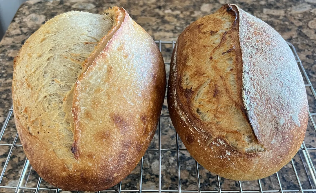 Sweet Potato Levain