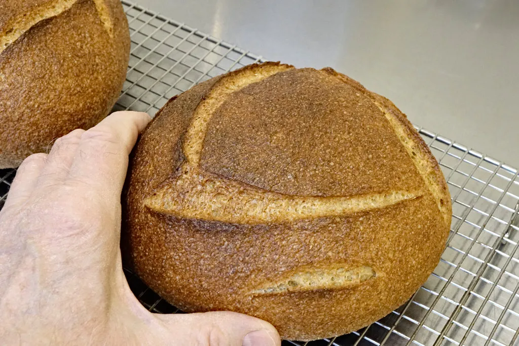 A corn-rye boule