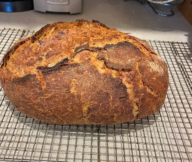 Fabulous sourdough cheese bread made with Guinness beer and 40% whole wheat flour