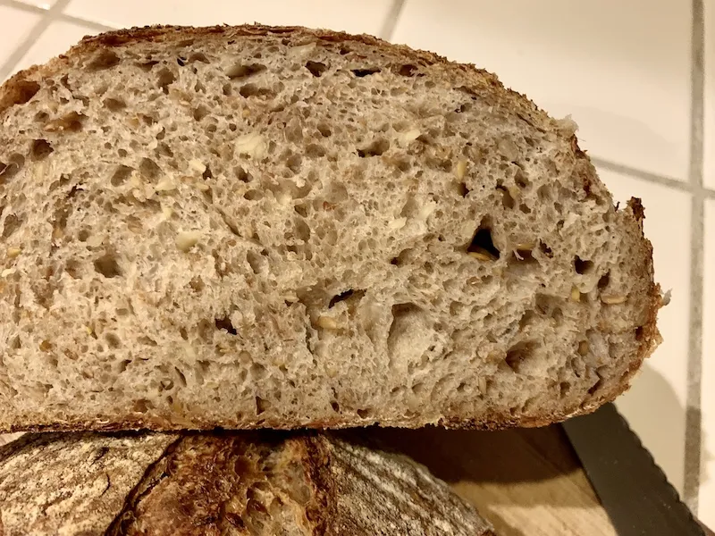 5 grain levain crumb.jpg