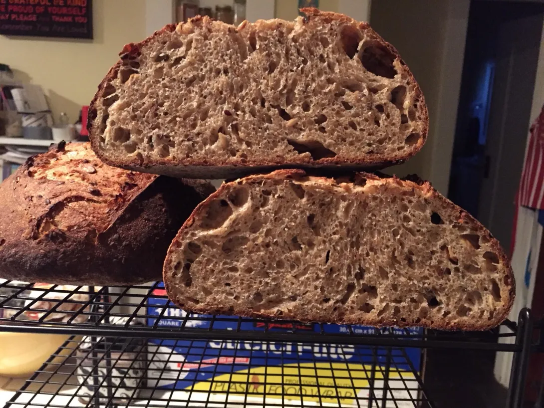 6 Grain Plus Crumb.JPG