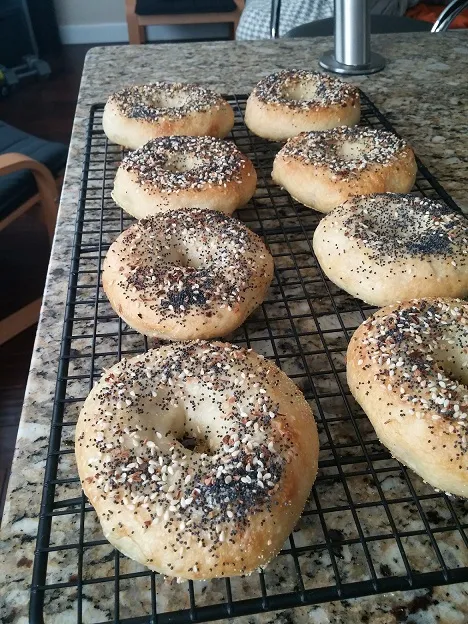 Bagels.jpg