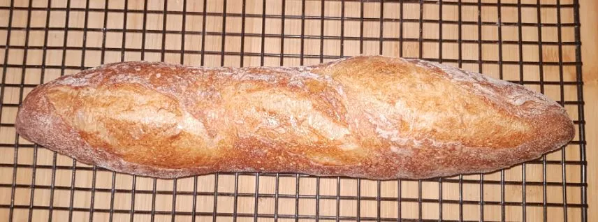 Baguette bake 2 @ 56h retard - crust outer