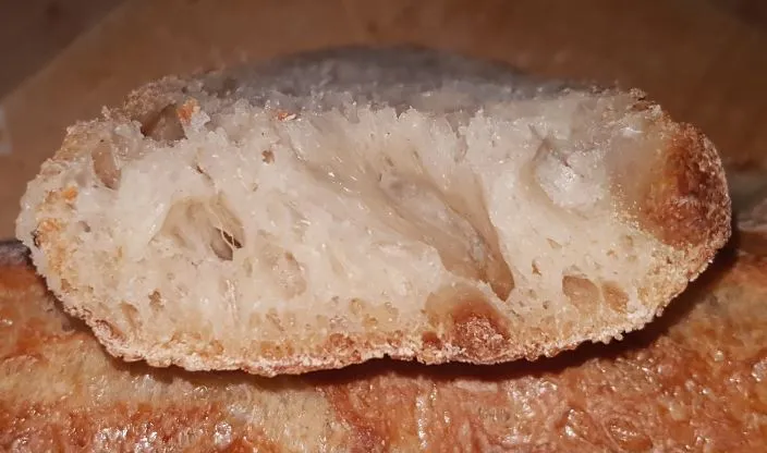 Baguette bake 2 @ 56h retard - crust cross-section